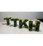 Tinklelio Abėcėlės Raidės augalams ir samanoms