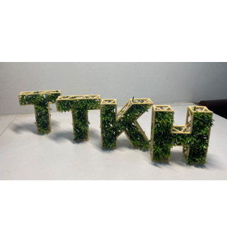 Tinklelio Abėcėlės Raidės augalams ir samanoms