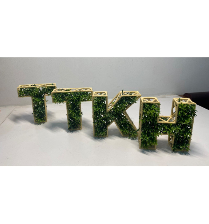 Tinklelio Abėcėlės Raidės augalams ir samanoms