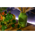 Pavasario Linijų Vaza