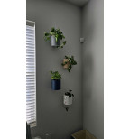 Sieninis vazonas su drenažu „Diamond“