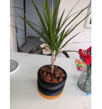 Modernus spiralinis vazonas su lėkštute