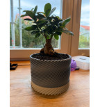 Modernus spiralinis vazonas su lėkštute