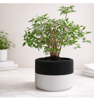 Mažas dekoratyvinis vazonas su tekstūra