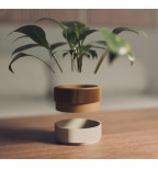 Mažas dekoratyvinis vazonas su tekstūra