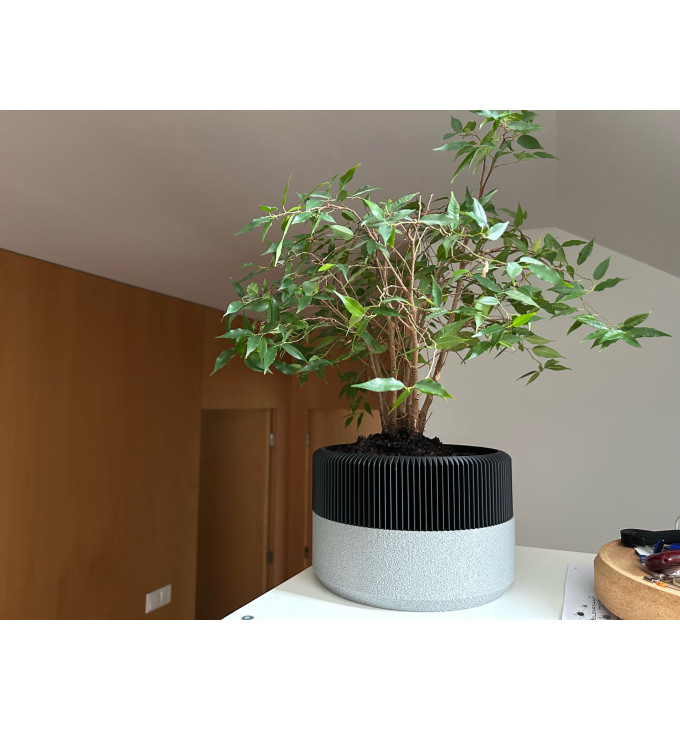 Mažas dekoratyvinis vazonas su tekstūra