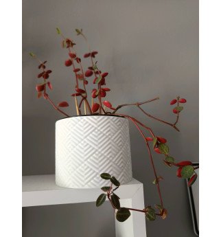 Modernus vazonas su „labirinto“ tekstūra