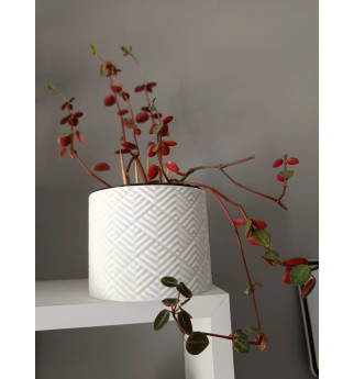 Modernus vazonas su „labirinto“ tekstūra