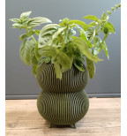 Dekoratyvinis vazonas su kojelėmis mažam augalui