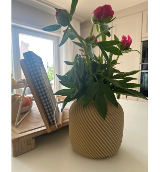 Modernus vazonas su spirale aukštoms puokštėms