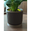 Faceted pot with saucer