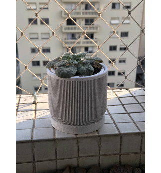 Briaunuotas vazonas su padėkliuku