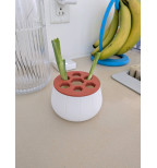 Svogūnų laiškų laikiklis auginimui vandenyje