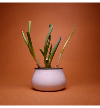 Svogūnų laiškų laikiklis auginimui vandenyje