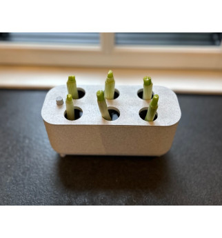 Virtuvinis svogūnų laiškų ataugintojas be žemės