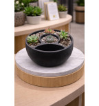 Savaiminio laistymo vazonas su vandens rezervuaru