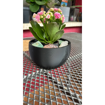 Self-watering pot with water reservoir