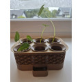 Modular seedling kit for 9 places