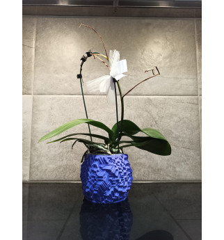 Akmens tekstūros vazonas orchidėjai