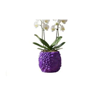 Akmens tekstūros vazonas orchidėjai