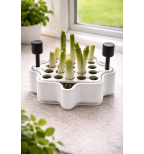 Svogūnų laiškų augintuvė su vandens rezervuaru