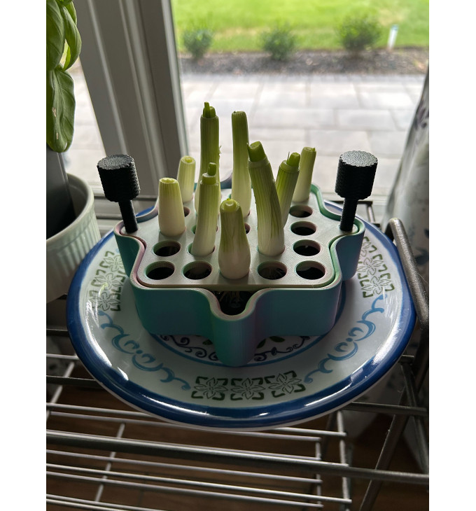 Svogūnų laiškų augintuvė su vandens rezervuaru