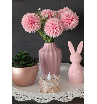 Dekoratyvinis zuikutis