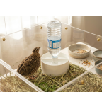 Putpelių ir viščiukų girdykla su butelio adapteriu