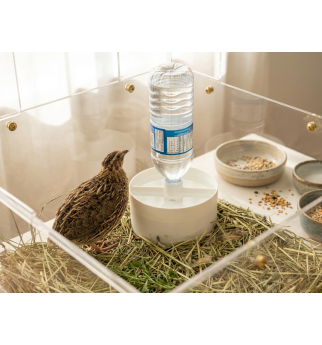 Putpelių ir viščiukų girdykla su butelio adapteriu
