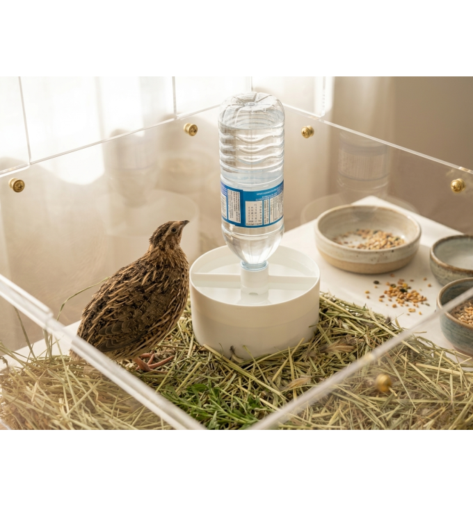 Putpelių ir viščiukų girdykla su butelio adapteriu
