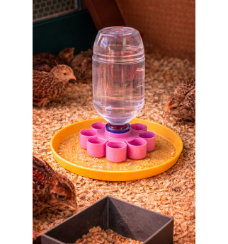 Girdyklos padėkliukas putpelių ir viščiukų jaunikliams