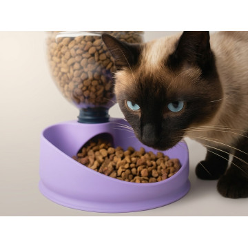 Automatic food bowl for cats and small dogs
