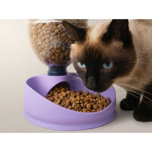Automatic food bowl for cats and small dogs
