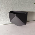 Kaasaegne seina madala polügooniga lillepott