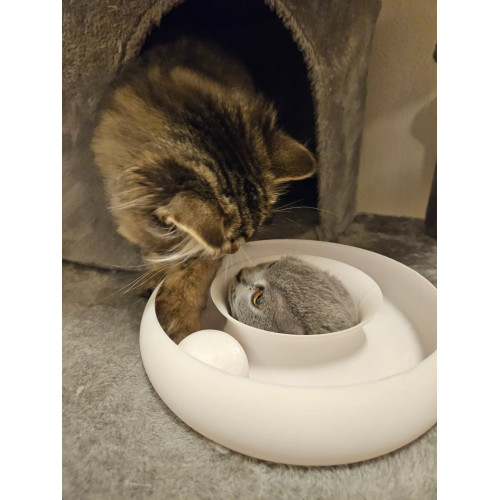 Cat toy donut – endless ball loop