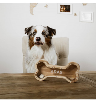 Medinė taupyklė "Kaulas"