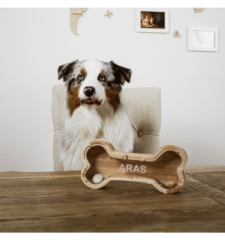 Medinė taupyklė "Kaulas"