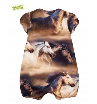 Smėlinukas "Arkliai"