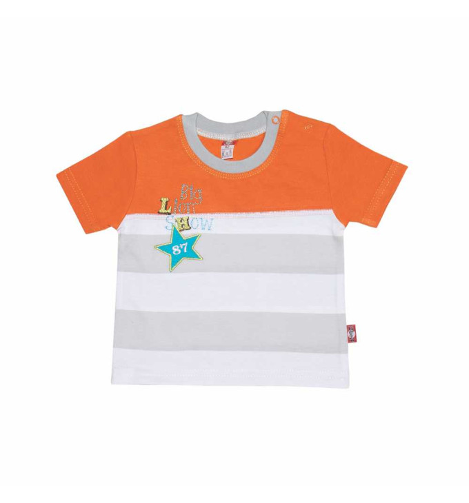 Dryžuoti marškinėliai trumpomis rankovėmis "Liūtukas"