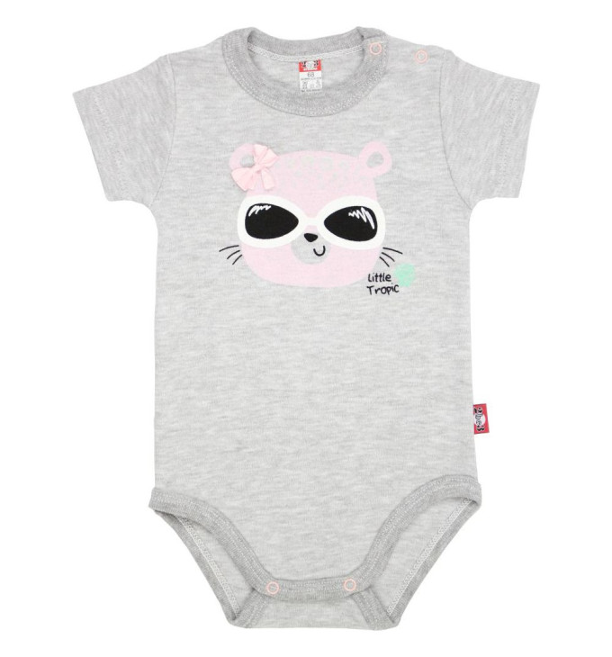 Pilkas smėlinukas "Pantera"