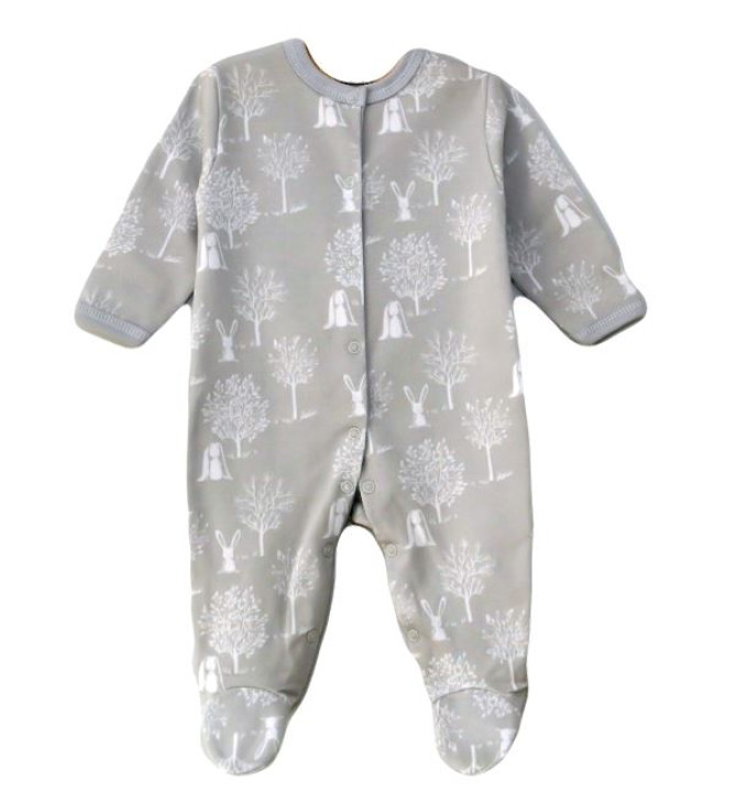 Vilaurita pilki šliaužtinukai  "Ronny"