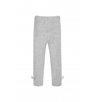 Puošnios pilkos tamprės