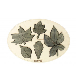 Mediniai Mentessoro lapeliai