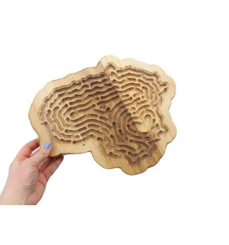 Medinis labirintas "Lietuva"